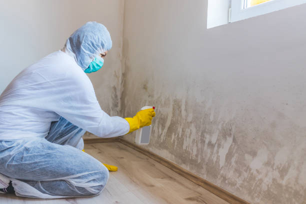 Licensed Mold Remediation service in Lafayette, TN - 24 Hour Mold Removal