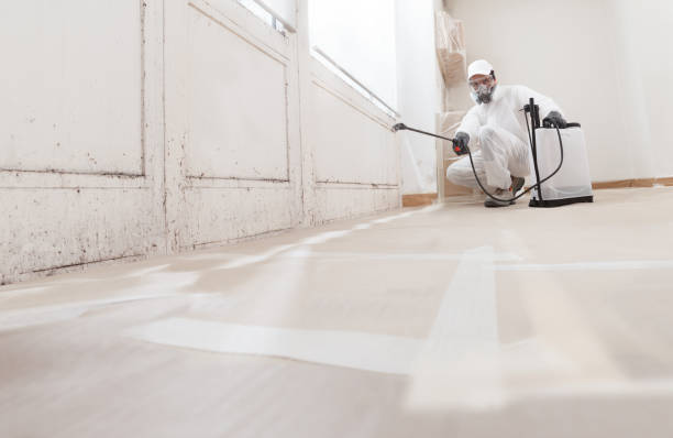 24/7 Emergency Mold Remediation experts in Lafayette, TN