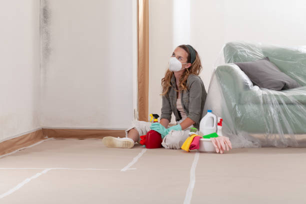 Reliable Mold Remediation contractor in Lafayette, TN by 24 Hour Mold Removal